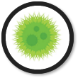 Mold Service